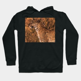 Majestic Hoodie